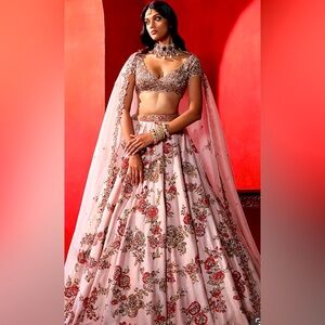 Wedding lehenga. Bought it in December 2023